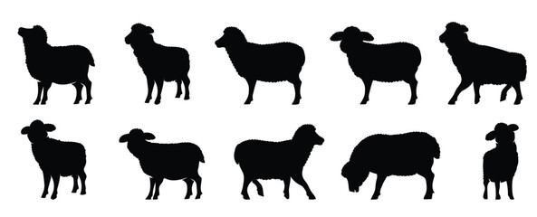 Flat sheep silhouettes collection.