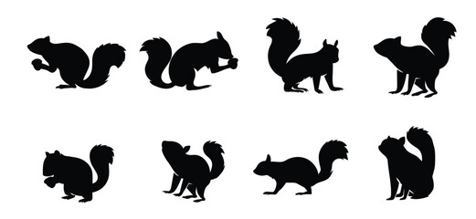 Flat squirrel silhouettes collection
