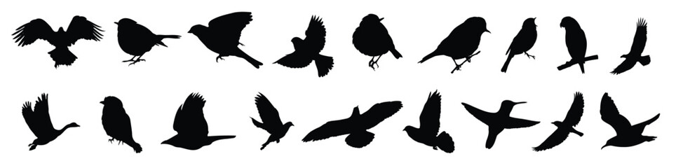 bird silhouette