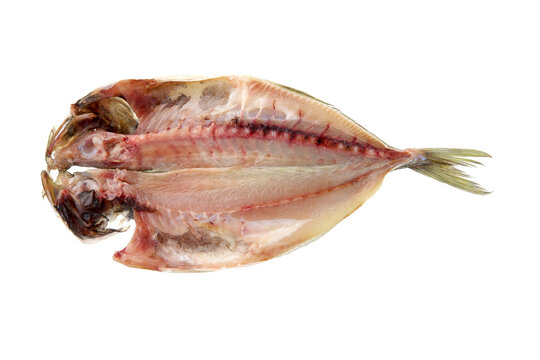 アジ開き」の写真素材 | 1,130件の無料イラスト画像 | Adobe Stock