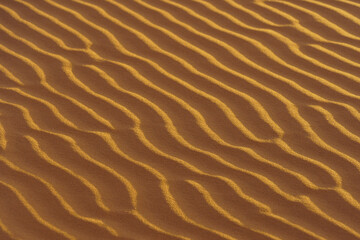 Sand dunes pattern in Merzouga