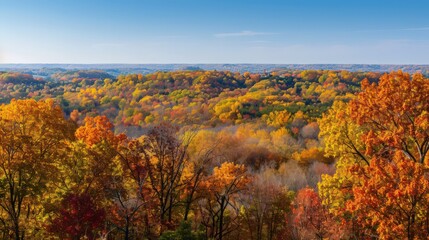 Obraz premium A scenic overlook of rolling hills covered in brilliant autumn foliage, with trees showcasing a spectrum of fall colors against a clear blue sky