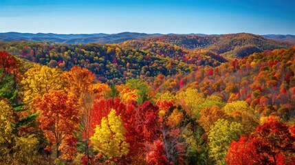 A scenic overlook of rolling hills covered in rich fall foliage, with trees in varying shades of red, orange, and yellow against a clear, blue sky