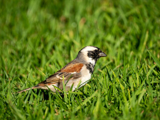 adobe stock ausgewertet