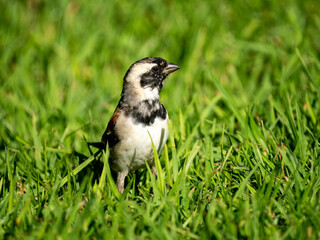 adobe stock ausgewertet