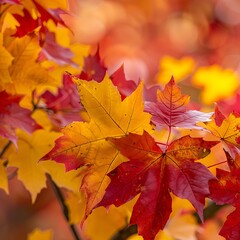 Vibrant Autumn Foliage Capturing the Essence of Seasonal Transformation