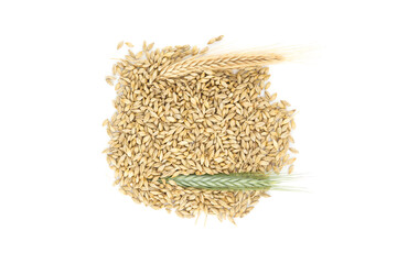 Barley seeds with the outer husk ears over white