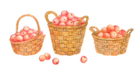 Set of isolated watercolor baskets filled with ripe red apples. Hand drawn wicker panniers with handles full of fresh fruits crop. Harvesting time. Farm organic food. Watercolor vintage illustration