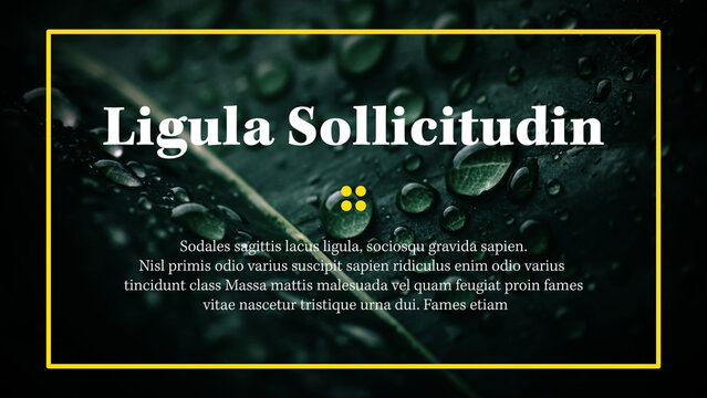 Clean Modern Text Slides