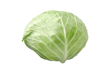 Fototapeta premium キャベツ（cabbage)