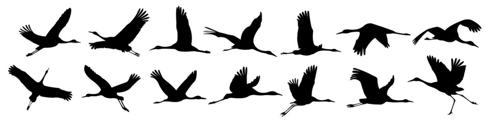 Silhouettes of various wing flapping motion or movements of a flying bird.