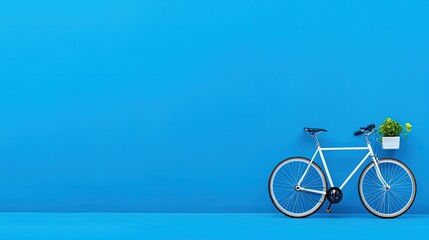 Fototapeta premium Calm White Bicycle Scene with Accents
