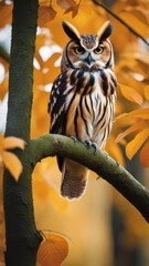 Barn owl perched on branch surrounded by autumn foliage and a clear blue sky. 