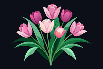 bouquet of pink tulips on a black background.