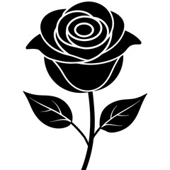 rose eps vector bundle