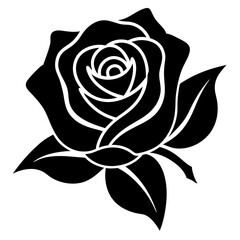 rose eps vector bundle