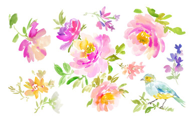 A set of vector illustrations of abstract flowers and birds painted in watercolor. A set of watercolor illustrations of peonies and roses.
