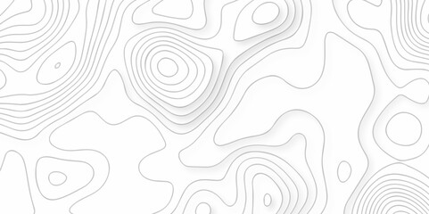 Pattern with grid lines seamless topography counter map. abstract sea mounted map area space geometric line technology topo landscape mountain striped cartography map texture background.