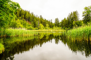 Fototapeta premium View of the Lanser Moor on the Paschberg in the municipality of Lans in Tyrol. Small pond with the surrounding nature. Landscape by the water.