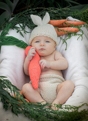 baby in a basket