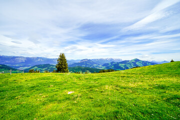 Obraz premium View of the landscape at Markbachjoch near Niederau. Nature and the surrounding mountains near Wildschönau in Tyrol. 