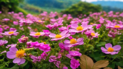 Obraz premium This is a picture of a lake with pink flowers and mountains in the background.