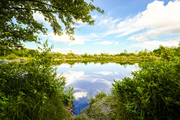 Landscape at the Feilenmoos local recreation area. Bathing lake between Manching and Geisenfeld. Nature at the quarry lake.
