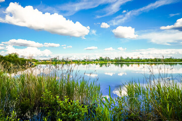 Landscape at the Feilenmoos local recreation area. Bathing lake between Manching and Geisenfeld. Nature at the quarry lake.
