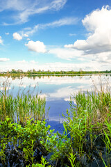 Landscape at the Feilenmoos local recreation area. Bathing lake between Manching and Geisenfeld. Nature at the quarry lake.
