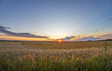 A breathtaking sunset illuminates expansive wheat fields, casting golden hues across the horizon as the day transitions into night.