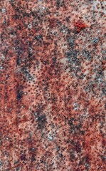 Soft texture of coconut tree splits. Coconut tree wood