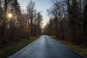 Schönbuch Nature Park in the Stuttgart Region