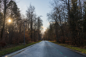 Schönbuch Nature Park in the Stuttgart Region