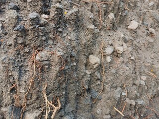 Sand ground background. Sand soil