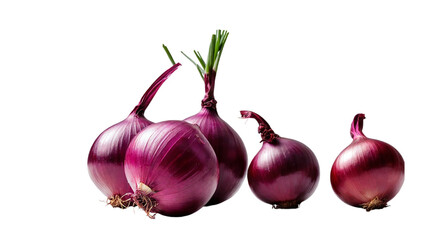 Fresh red onion close up. Harvest concepts. Organic vegetables
