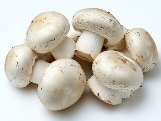  group of fresh white mushrooms displayed on a clean surface