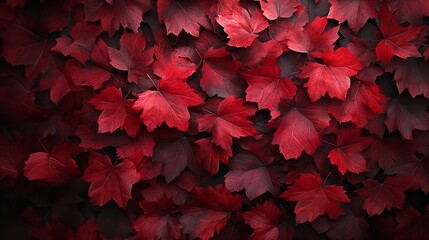 Vivid and lovely autumn leaves create a stunning background with plenty of copy space image.