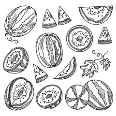 Vector sketch of watermelon. Set of sliced watermelon, whole fruit cut in half, rind and seeds. Sweet red fruits. Vector illustration