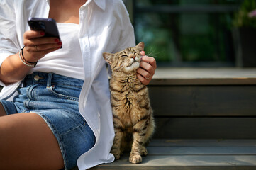 caucasian female sitting on a wooden staircase holding a phone and stroking a beautiful pet cat