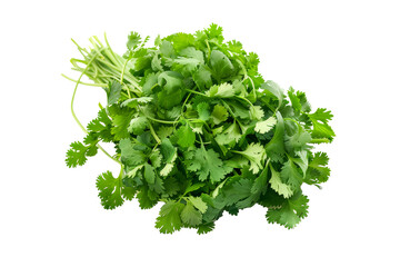 Obraz premium A vibrant bunch of cilantro with lush green leaves isolated on a white transparent background. Perfect for salads, various cooking methods, and healthy, nutritious dishes