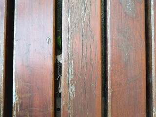 old wooden door