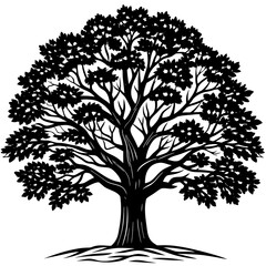 Obraz premium black and white tree