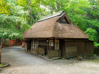 Fototapeta premium 奈良公園に建つ茅葺きの屋根の茶屋と鹿