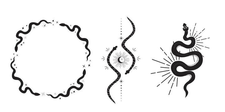 Celestial serpent snake circle frame, esoteric tarot or tattoo mystery sacred symbol border. Linocut style boho. Occultism and religion, sacred rites and sacrifice. Reptile