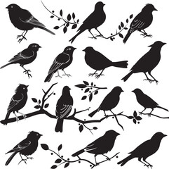 set of birds