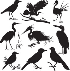 set of silhouettes of birds