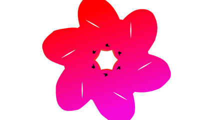 gradient pink red flower with seeds in the middle