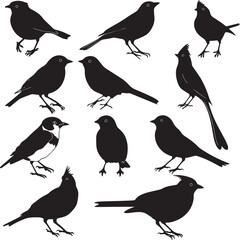 set of birds silhouettes