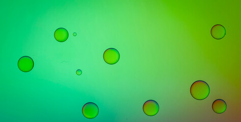 Wonderland Revealed: Step into a Quirky and Playful World of Abstract Geometric Shapes and Vibrant Colors