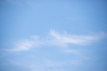 Sky background with clouds. White clouds against a blue sky.